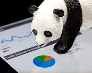 San Marcos, USA - December 12, 2011: Google Panda. Panda Bear on top of Google analytics. Concept for Google's Panda updates which affect ranking of many website requiring extensive SEO tactics to restore high page ranking. Google Panda is a change to Google's algorithm developed by Navneet Panda. Google is the world's dominate internet search engine.